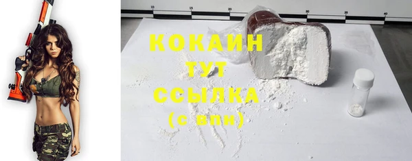 соль ск Горнозаводск