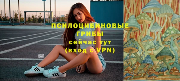 соль ск Горнозаводск