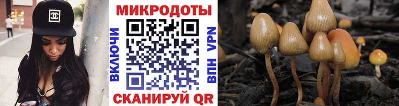 Псилоцибиновые грибы Cubensis  Купить где  Пудож 